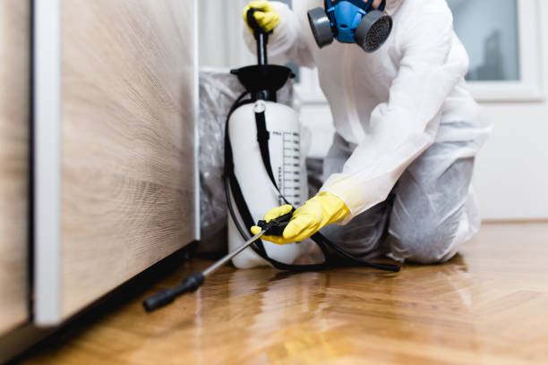 Best Pest Removal Services  in Jefferson, OH