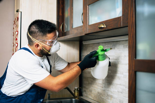 Best Affordable Pest Control Services  in Jefferson, OH