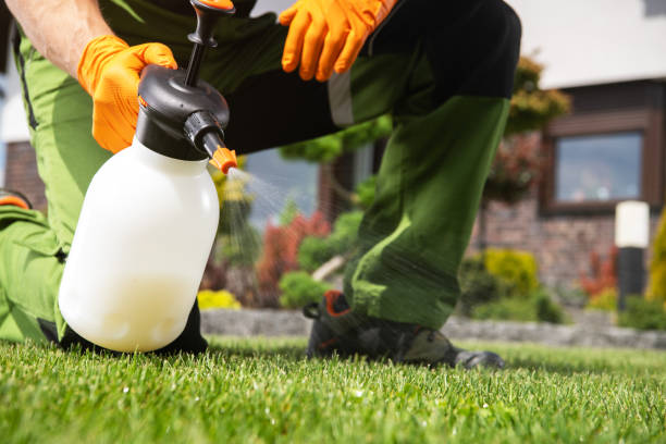 Best Pest Control Cost  in Jefferson, OH