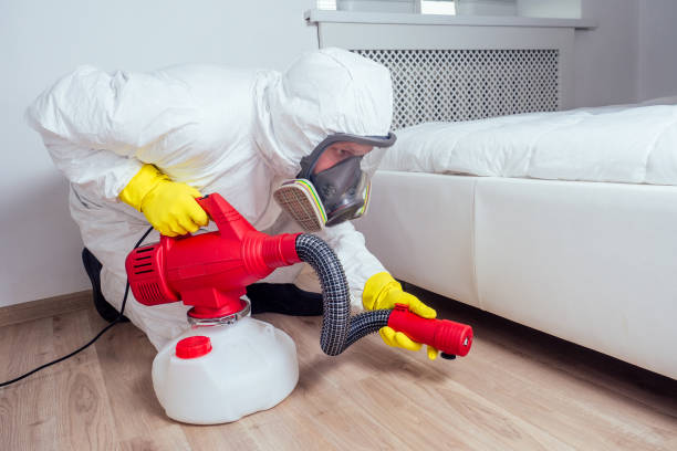 Best Termite Control Services  in Jefferson, OH