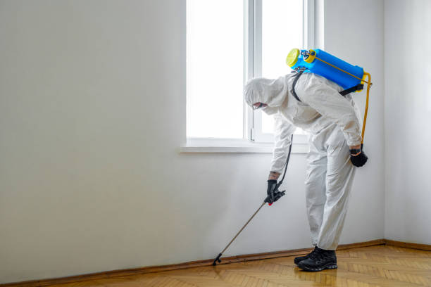 Flea Control Services in Jefferson, OH