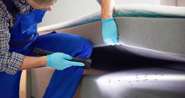 Best Flea Control Services  in Jefferson, OH