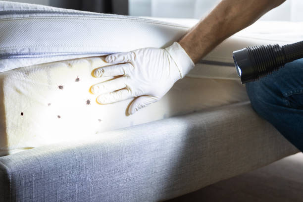 Best Pest Control Near Me  in Jefferson, OH